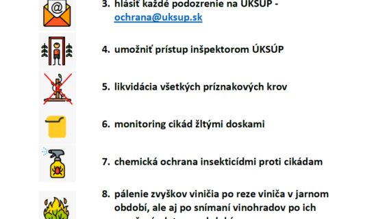 zlat%C3%A9%20%C5%BEltnutie%20vini%C4%8Da%20-%20s%C3%BAhrn%20opatren%C3%AD%20A4%20form%C3%A1t.png